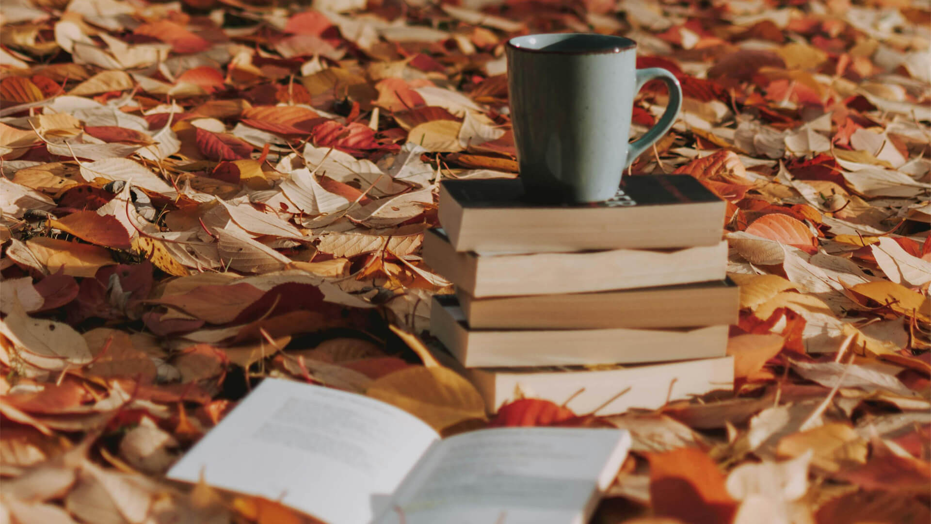 Je te présente ma pile à lire pour le Pumpkin Autumn Challenge !