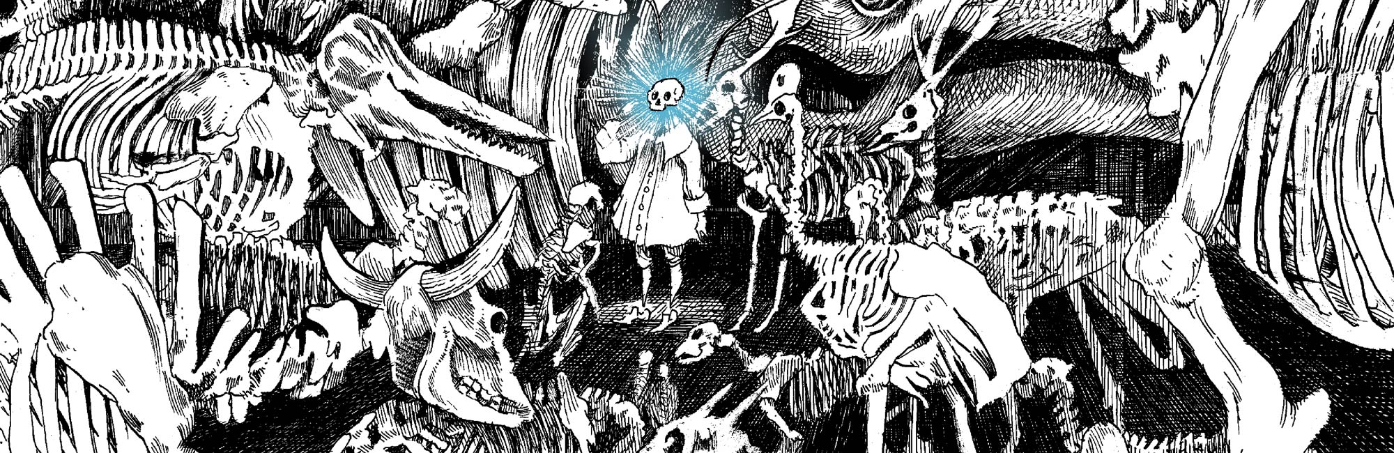 La tête de mort venue de Suède : les aventures posthumes de la pensée cartésienne