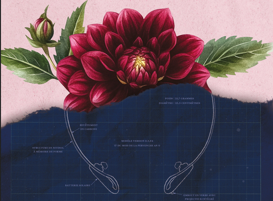 Contrôle des masses, surveillance permanente : Le dernier nom des fleurs, une utopie déguisée